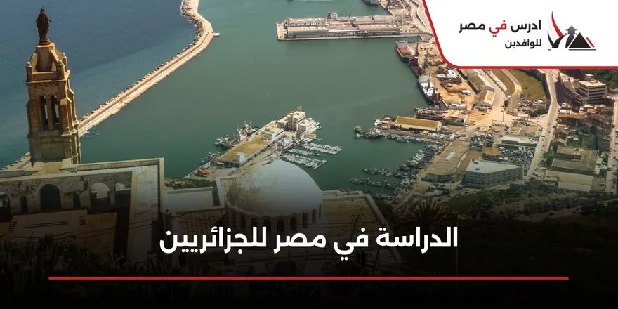 الدراسة في مصر للجزائريين
