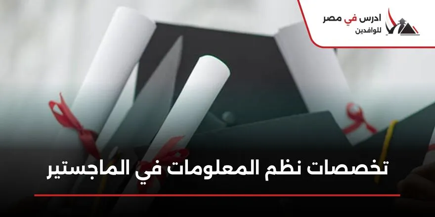 تخصصات نظم المعلومات في الماجستير