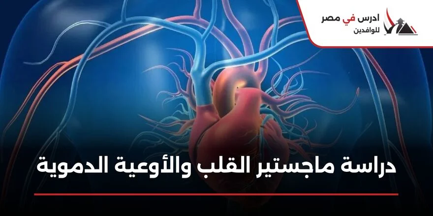 ماجستير القلب والاوعية الدموية