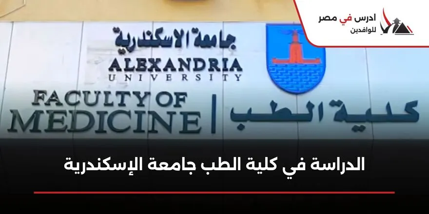 الدراسة في كلية الطب جامعة الإسكندرية
