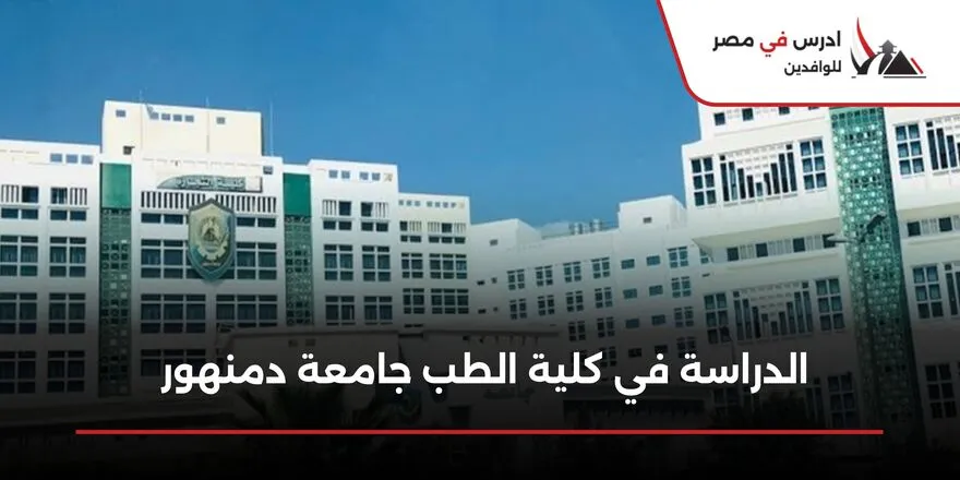 الدراسة في كلية الطب جامعة دمنهور