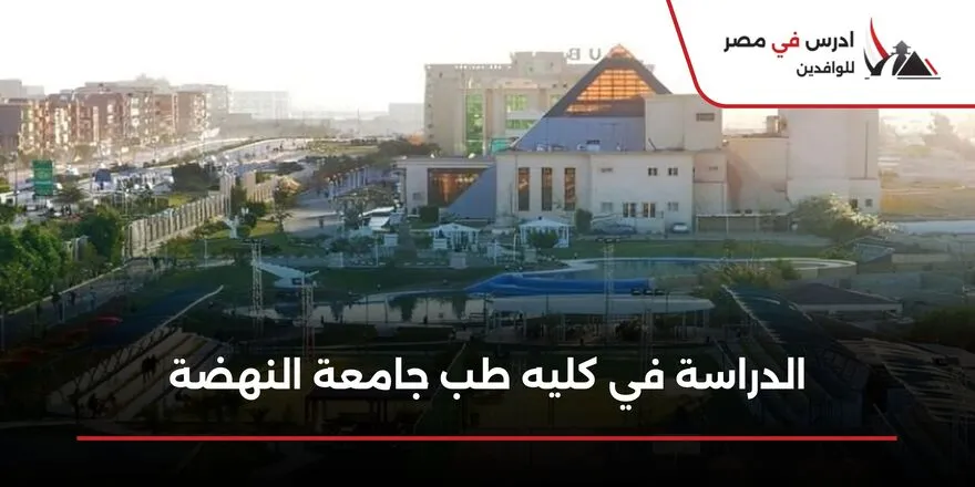 الدراسة في كليه طب جامعة النهضة