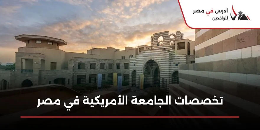 تخصصات الجامعة الأمريكية في مصر