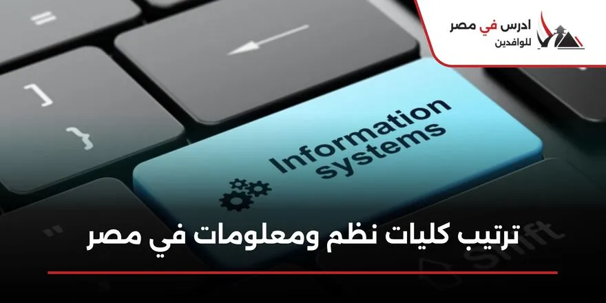 كليات نظم ومعلومات في مصر
