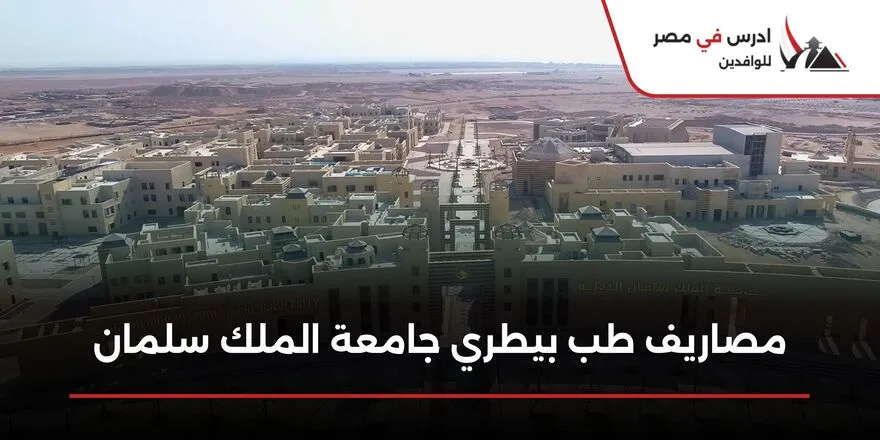 مصاريف طب بيطري جامعة الملك سلمان