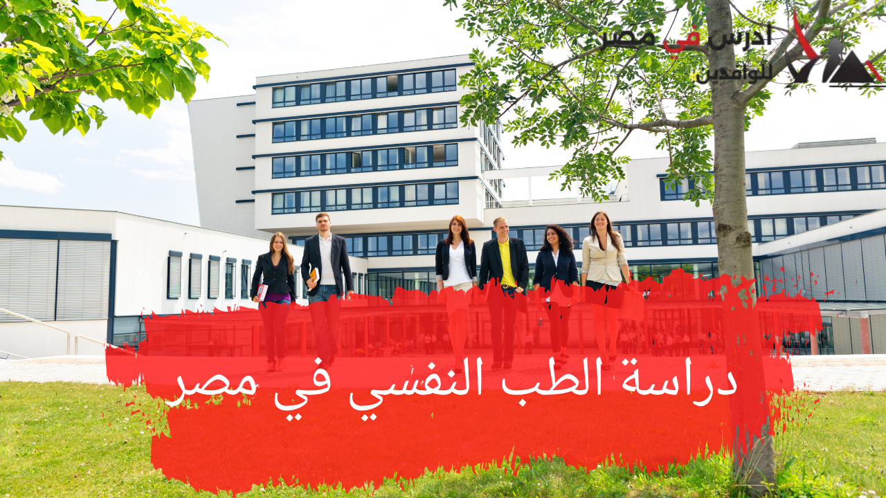 دراسة الطب النفسي في مصر